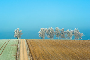 In der Nähe von Aretsried im Winter
