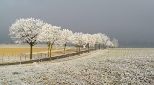 In der Nähe von Aretsried im Winter
